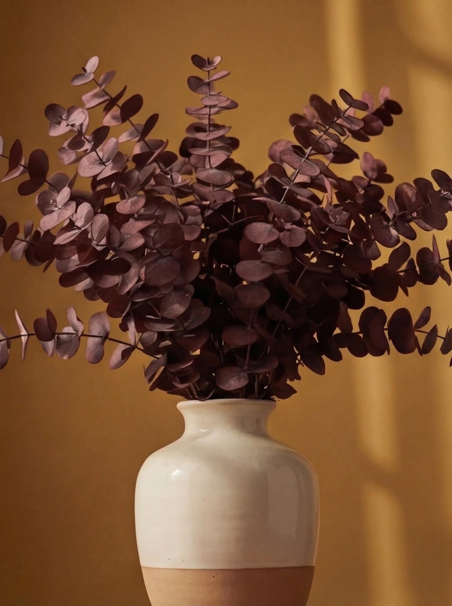 Stuartiana Eucalyptus Bordeaux — Preserved