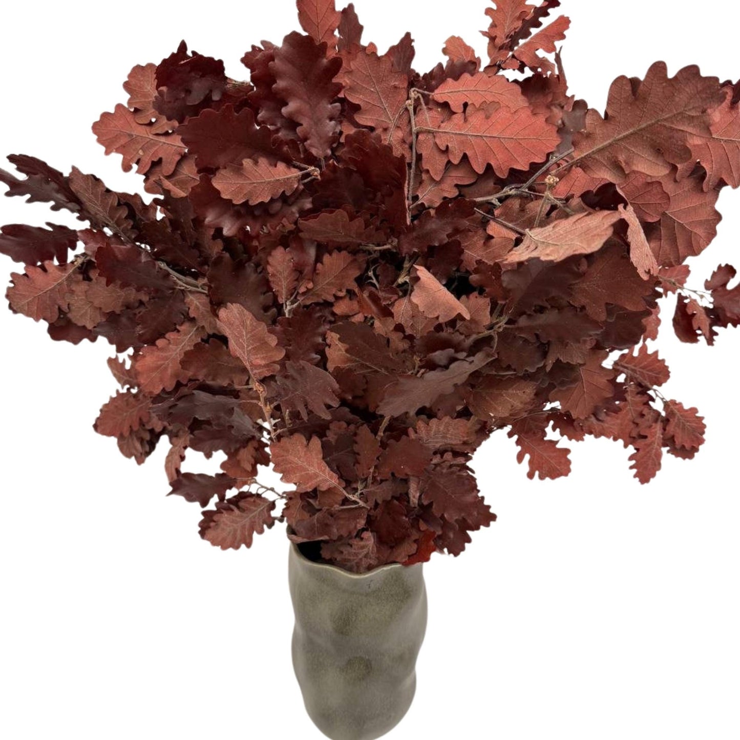 Burgundy Oak — Stabilized