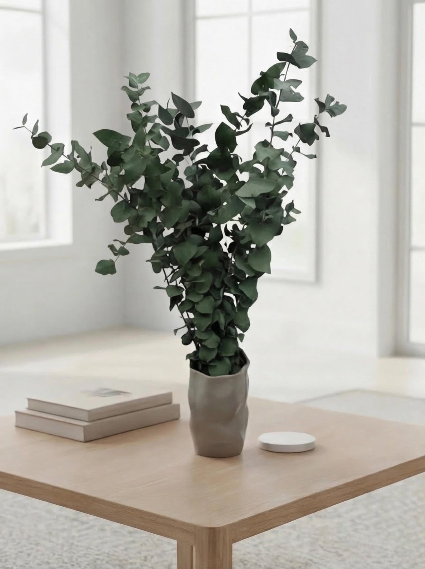 Stuartiana Eucalyptus Green — Preserved