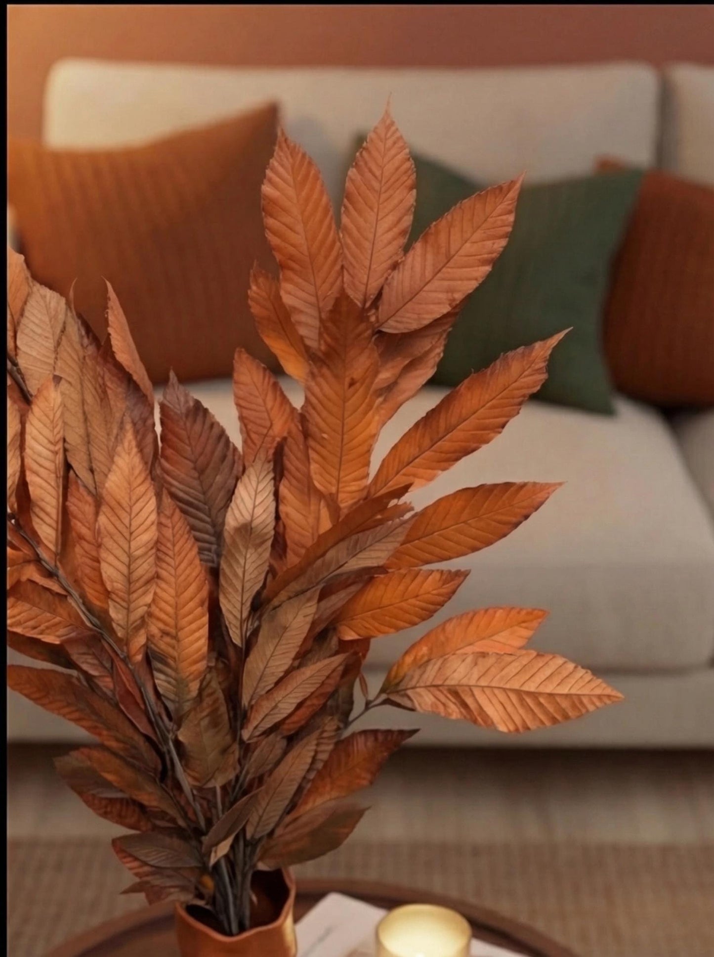 Castagno Arancione — Stabilizzata