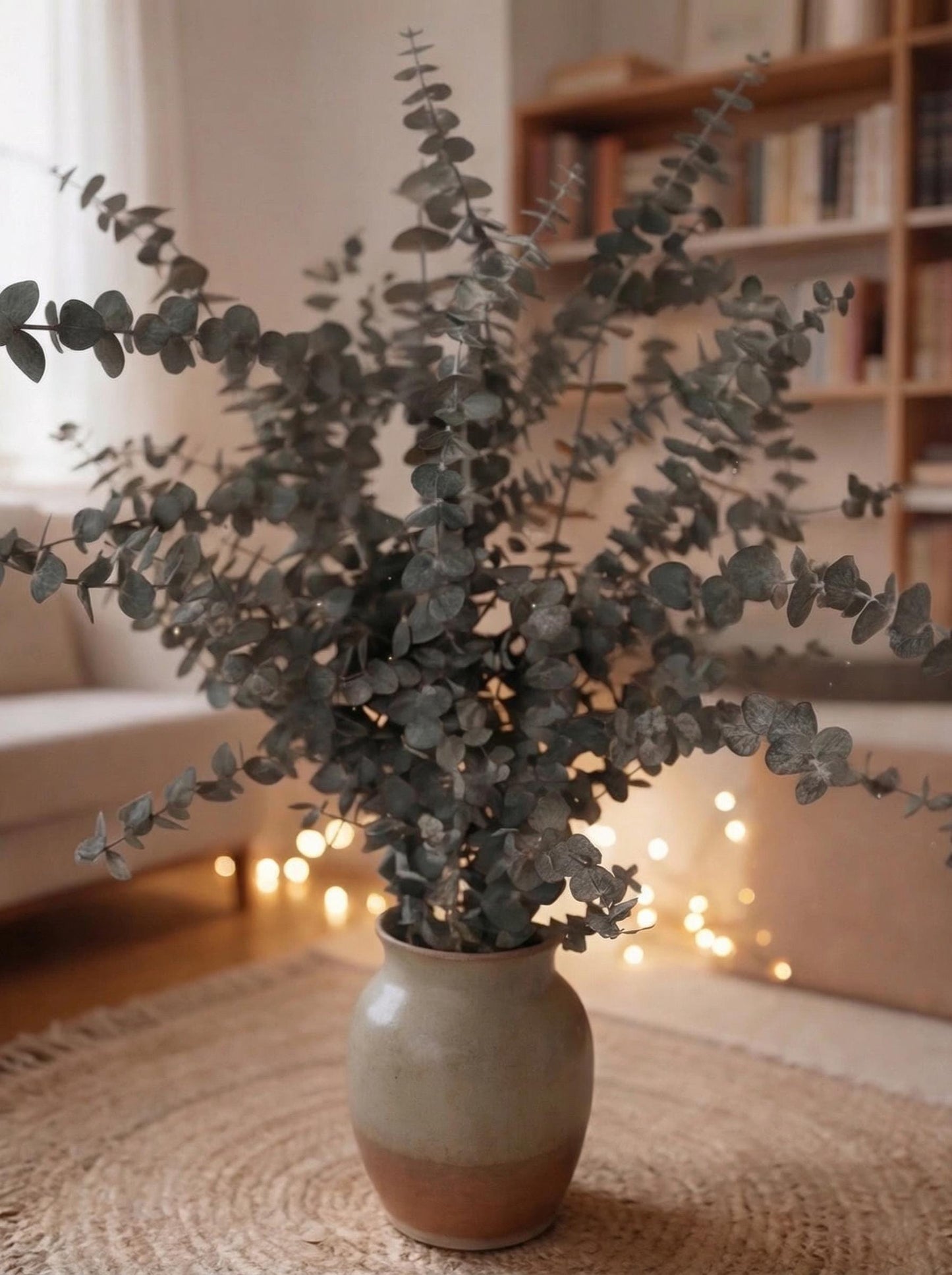 Eucalyptus Baby Blue — Preserved