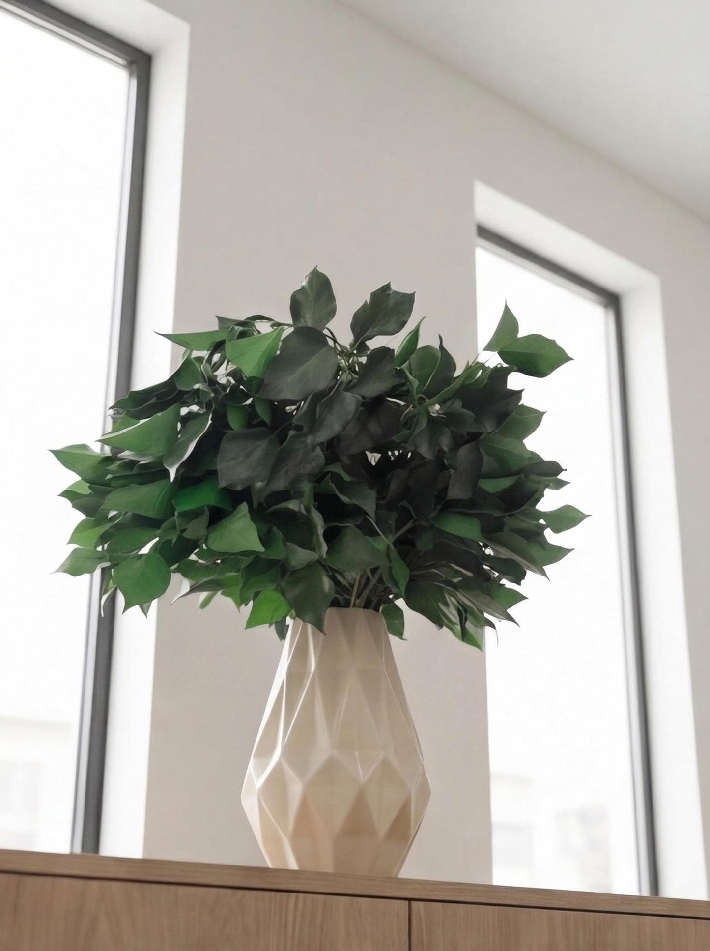 Green Ivy — Preserved