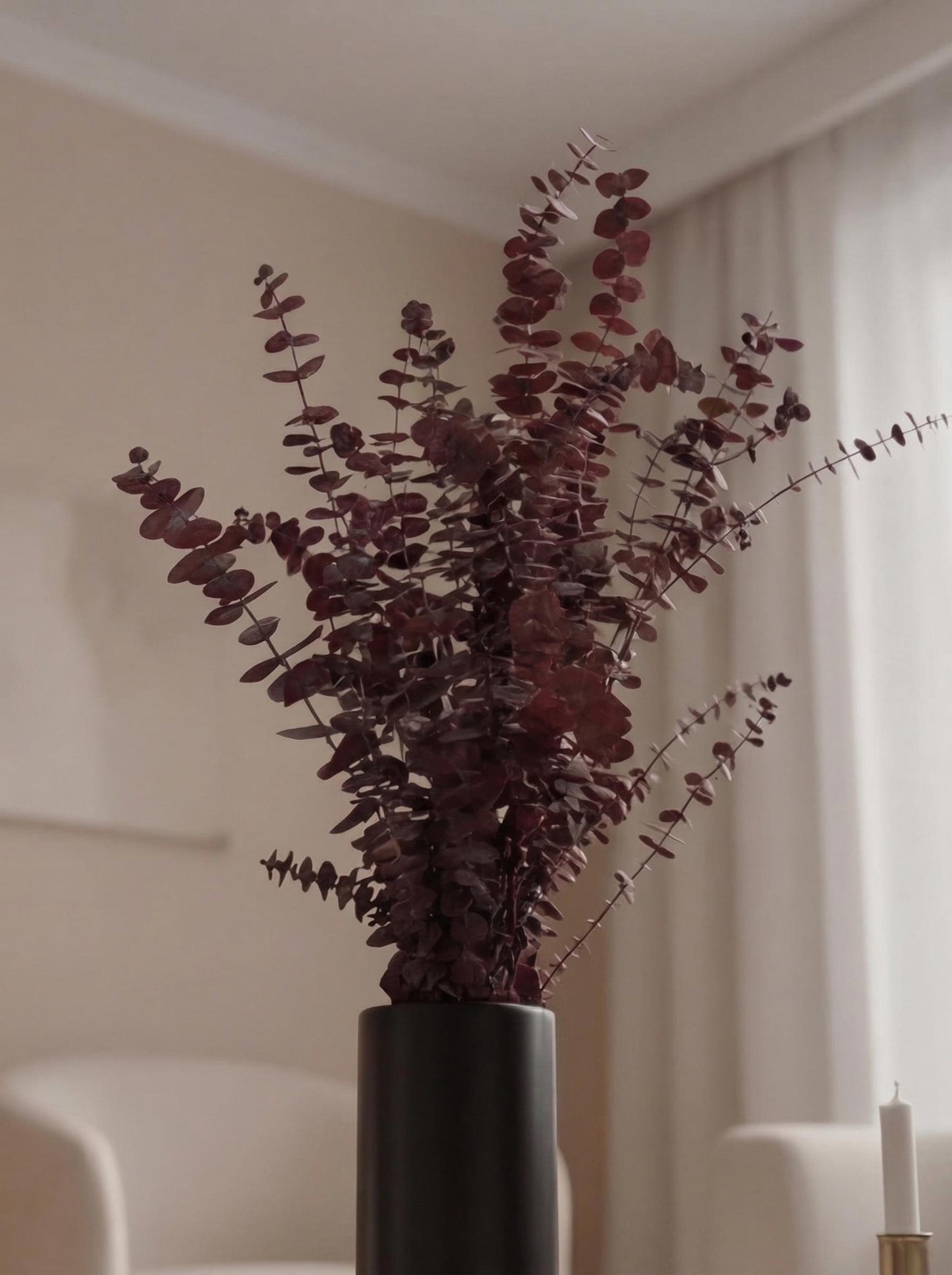 Red Baby Blue Eucalyptus — Preserved