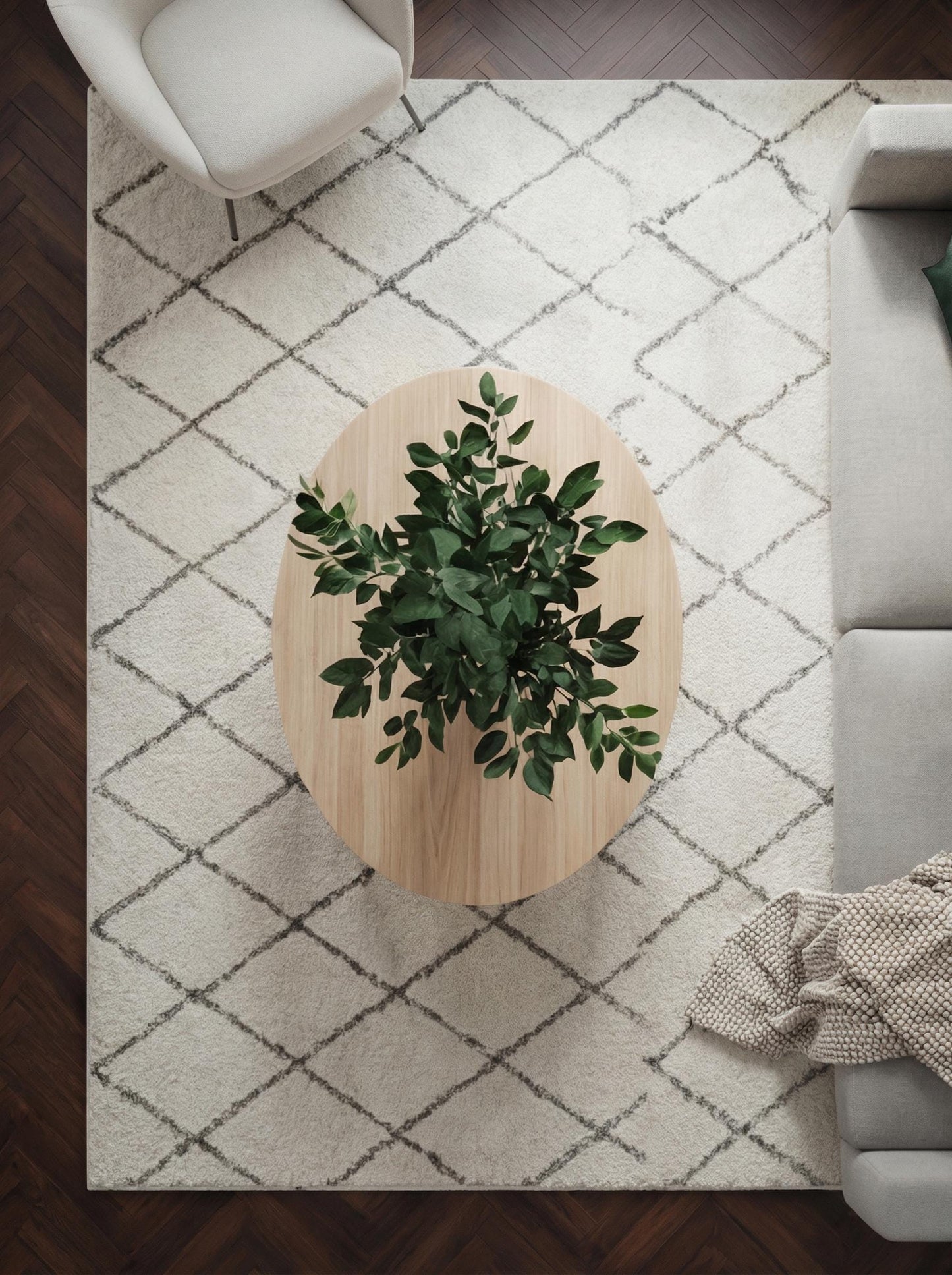 Green Beech — Preserved
