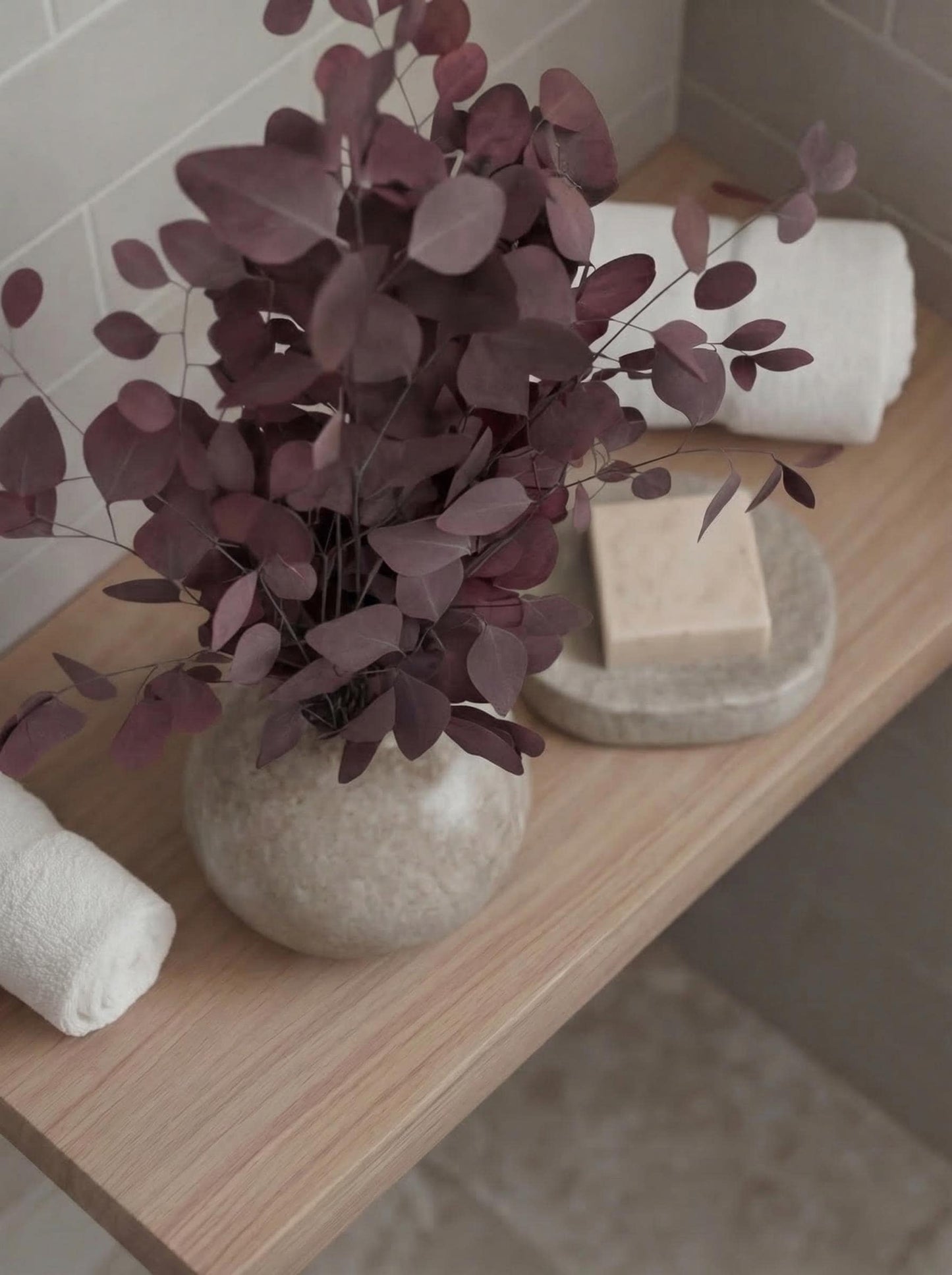 Eucalyptus Populus Red — Preserved