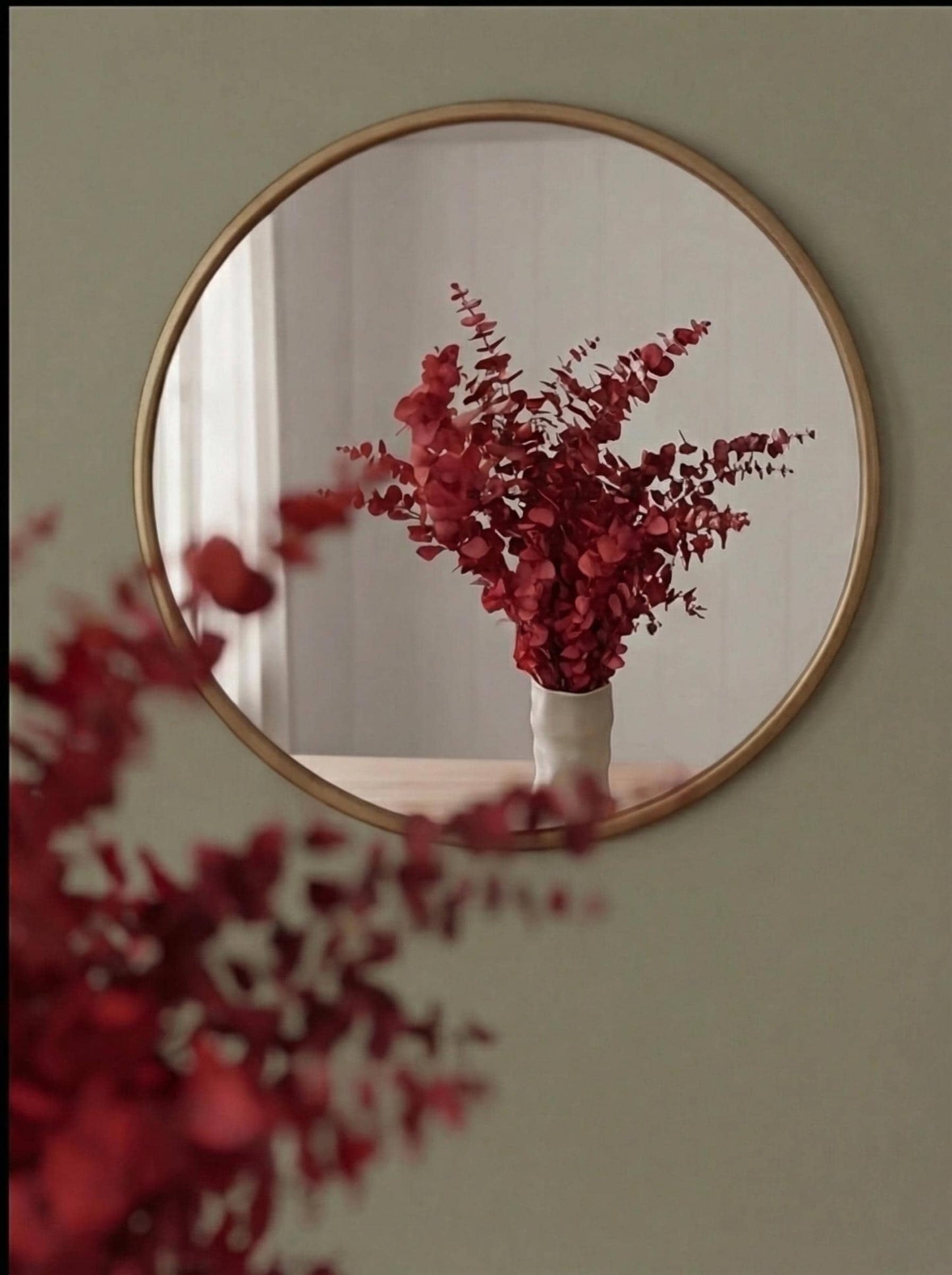 Red Stuartiana Eucalyptus — Preserved