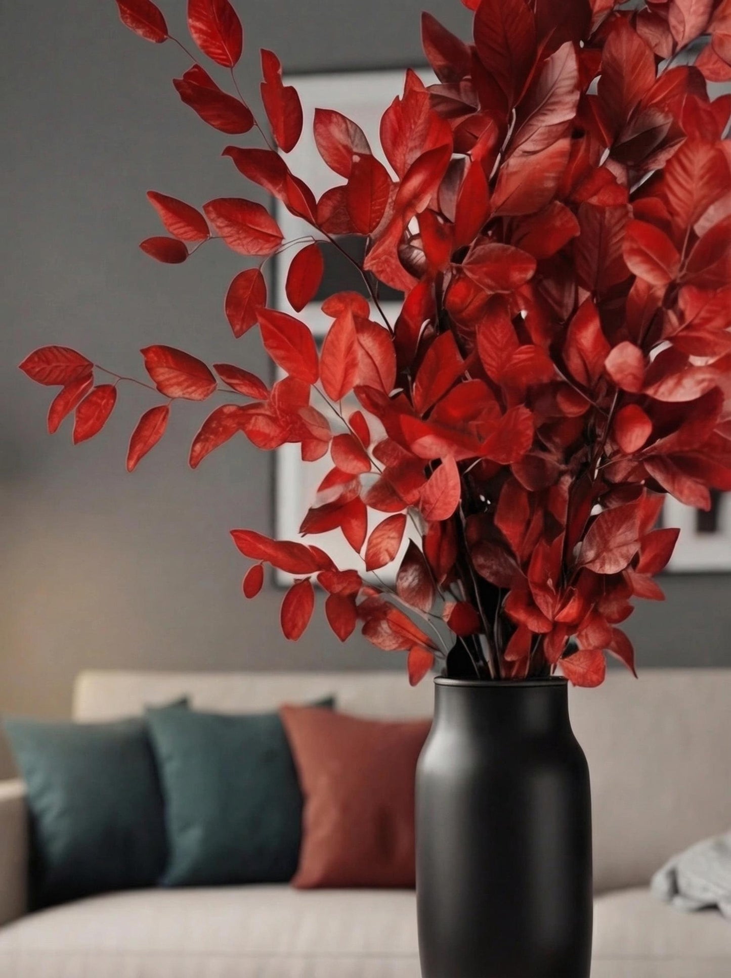 Red Beech — Stabilized