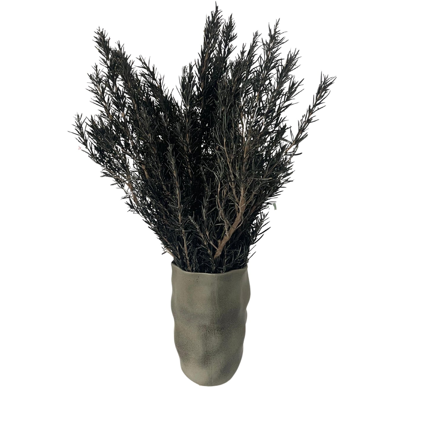 Green Rosemary — Preserved