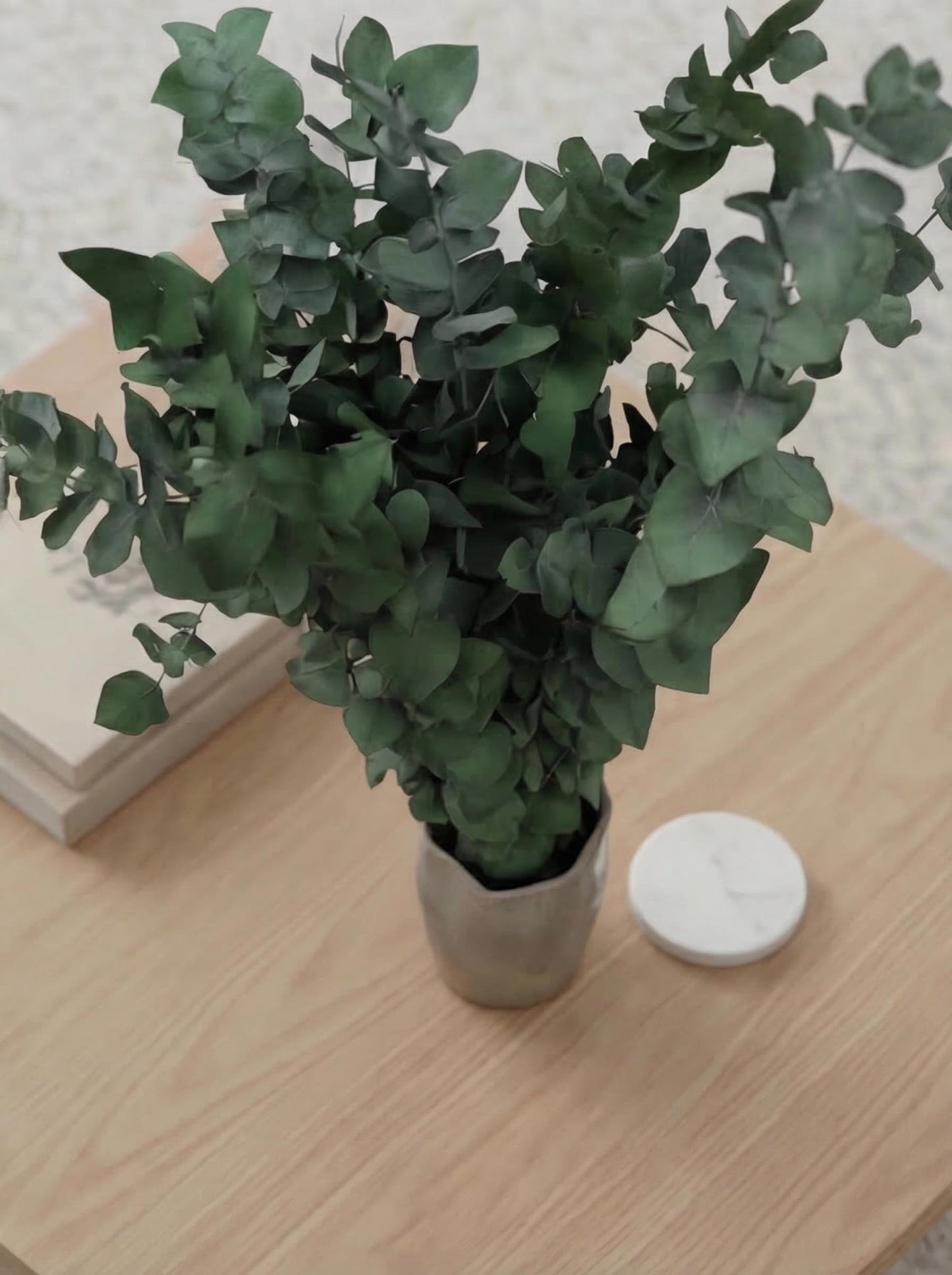 Stuartiana Eucalyptus Green — Preserved