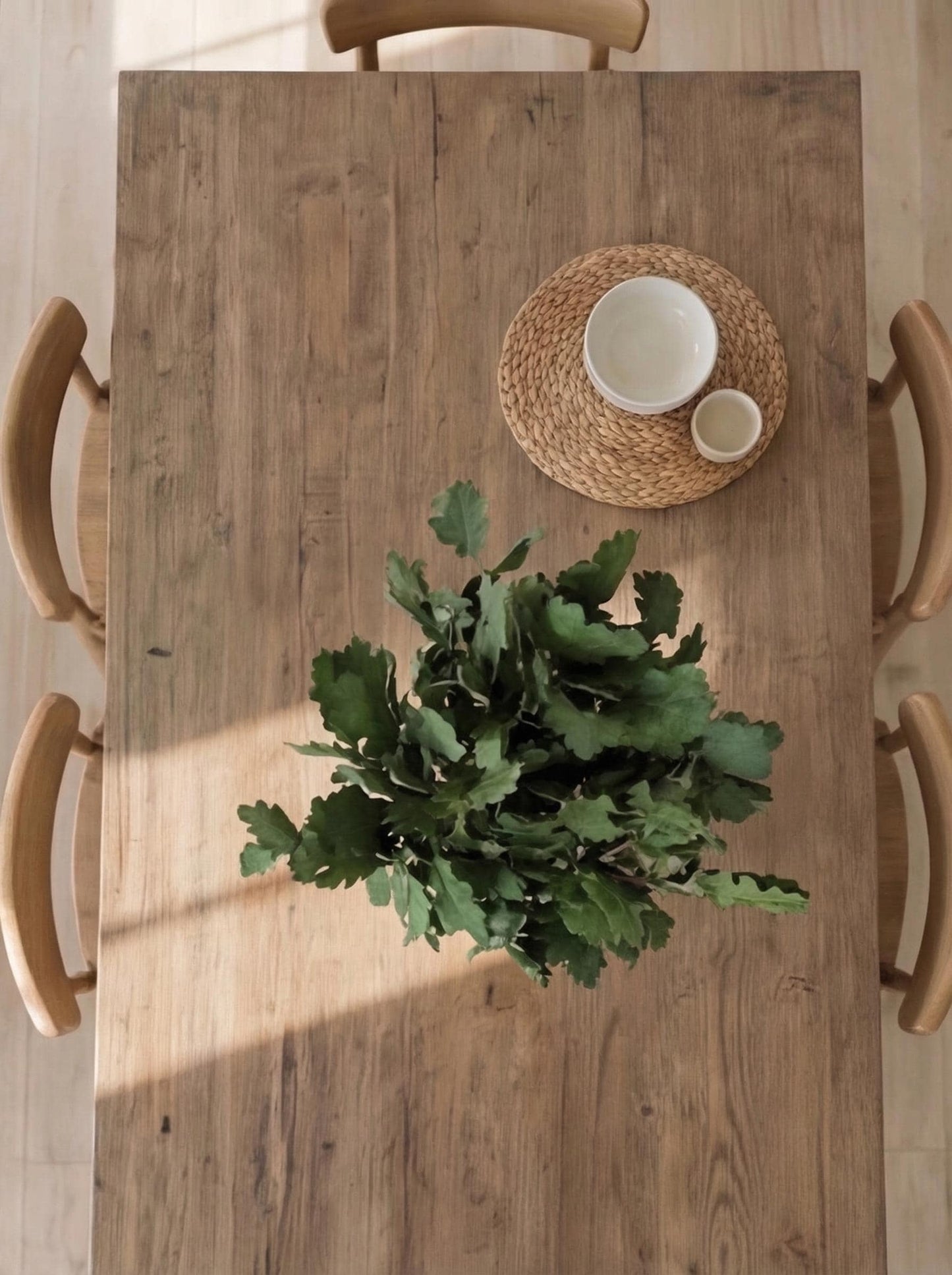 Green Oak — Preserved