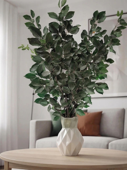 Green Beech — Preserved