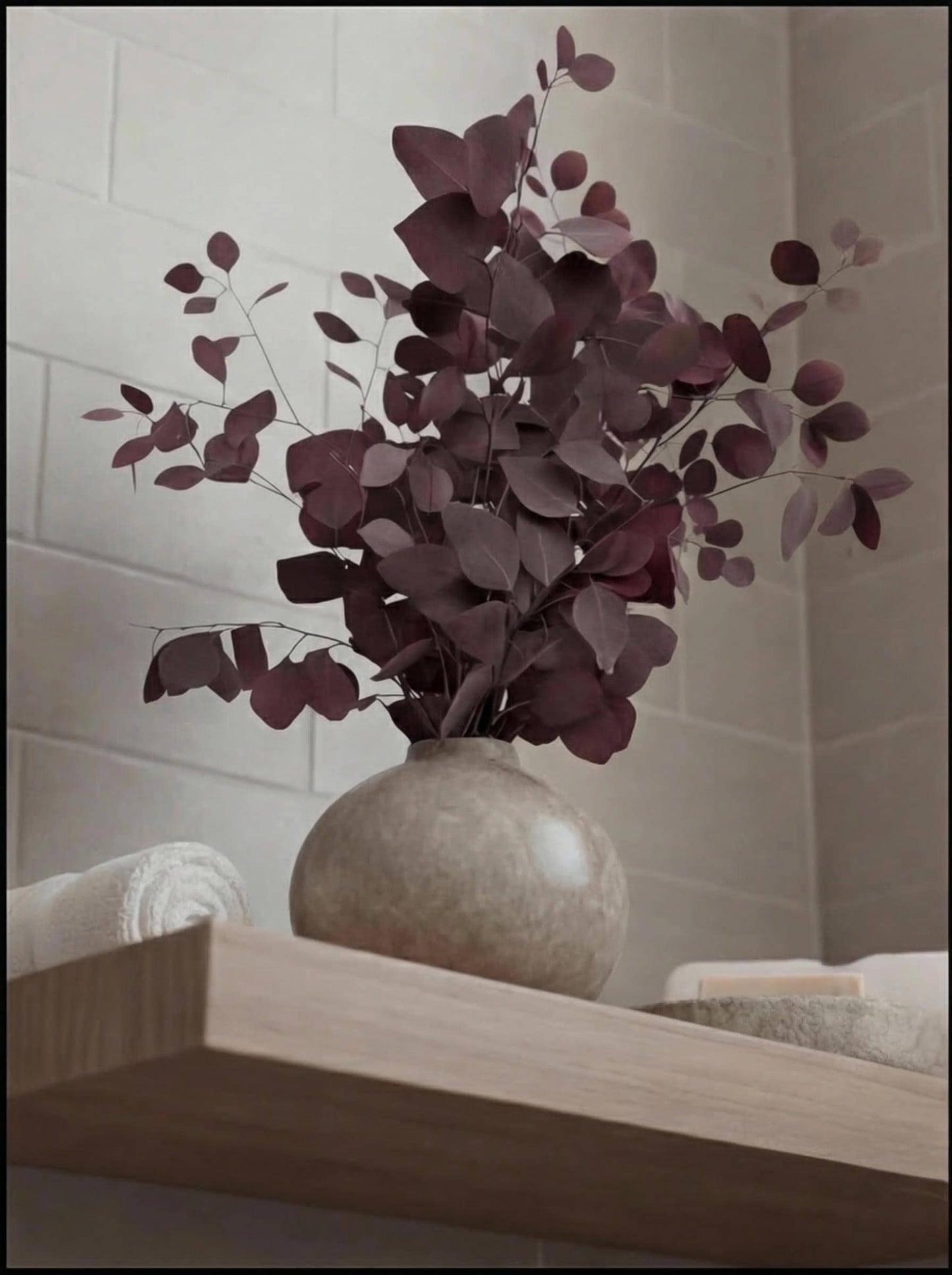 Eucalyptus Populus Red — Preserved