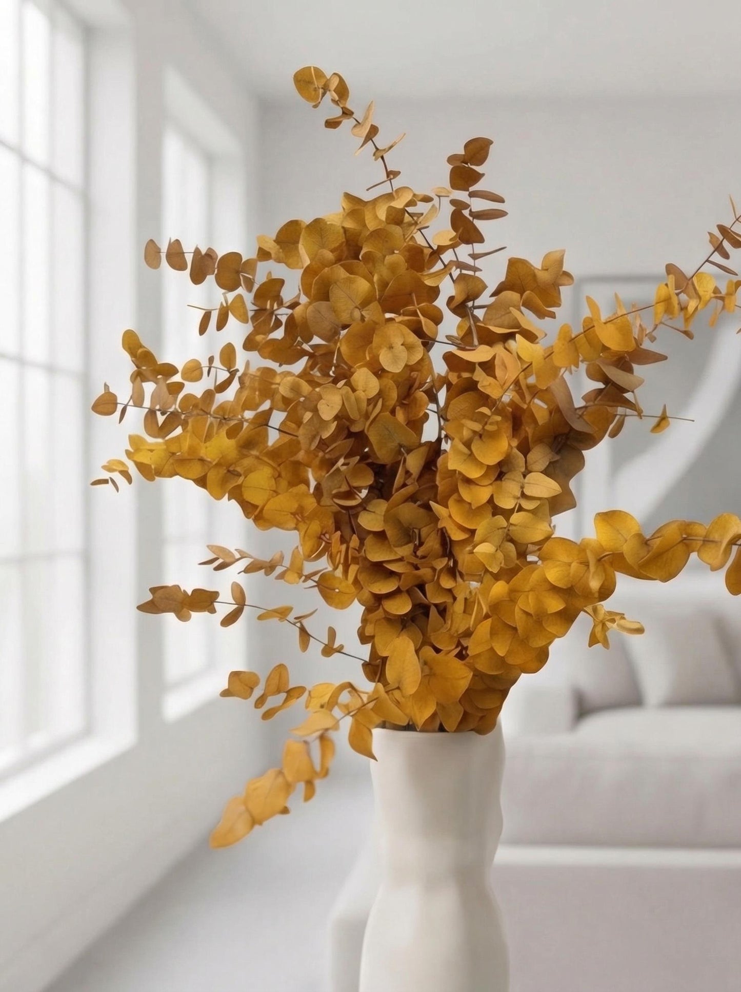 Yellow Stuartiana Eucalyptus — Preserved
