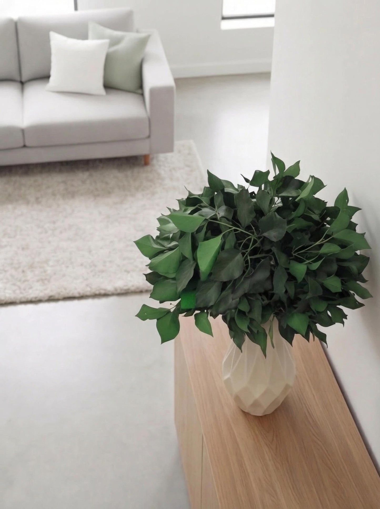 Green Ivy — Preserved