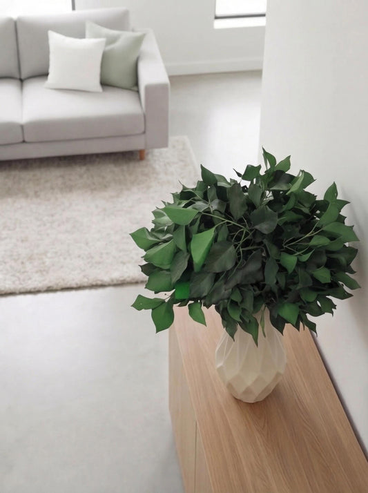 Green Ivy — Preserved
