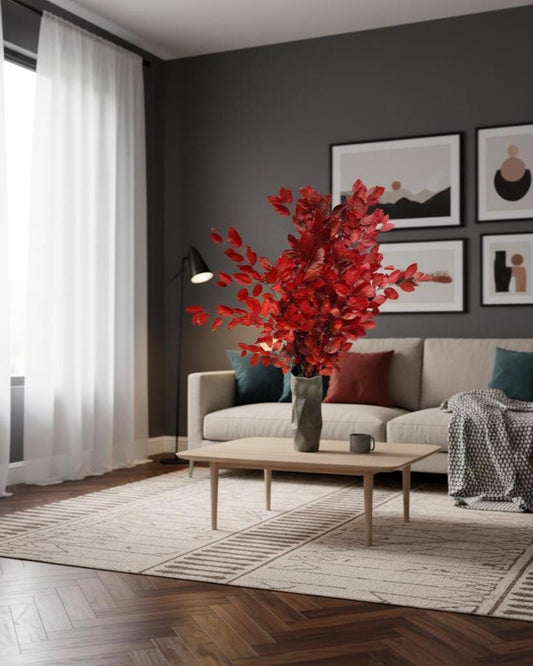 Red Beech — Stabilized