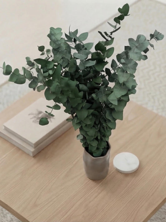 Stuartiana Eucalyptus Green — Preserved